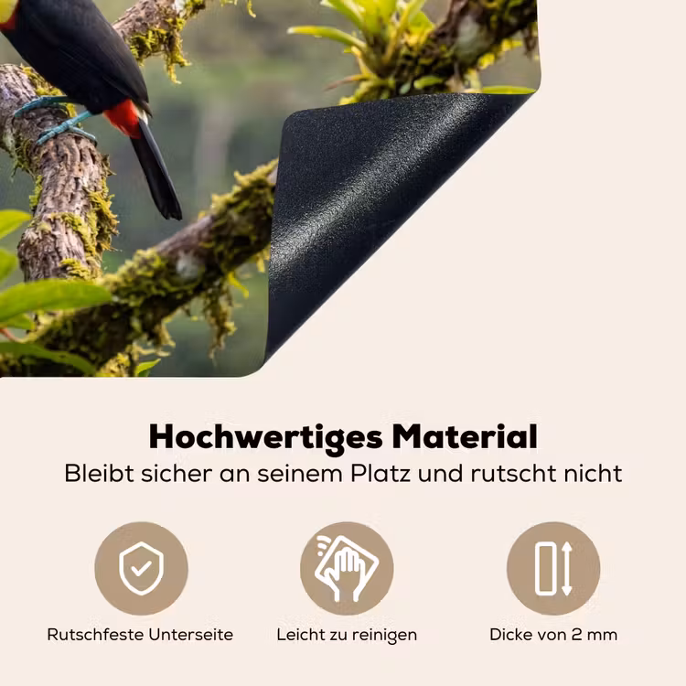 Toekan - Jungle - Natuur - Kleurrijk Inductie beschemer met haakjes klein -ky-onderkant-de