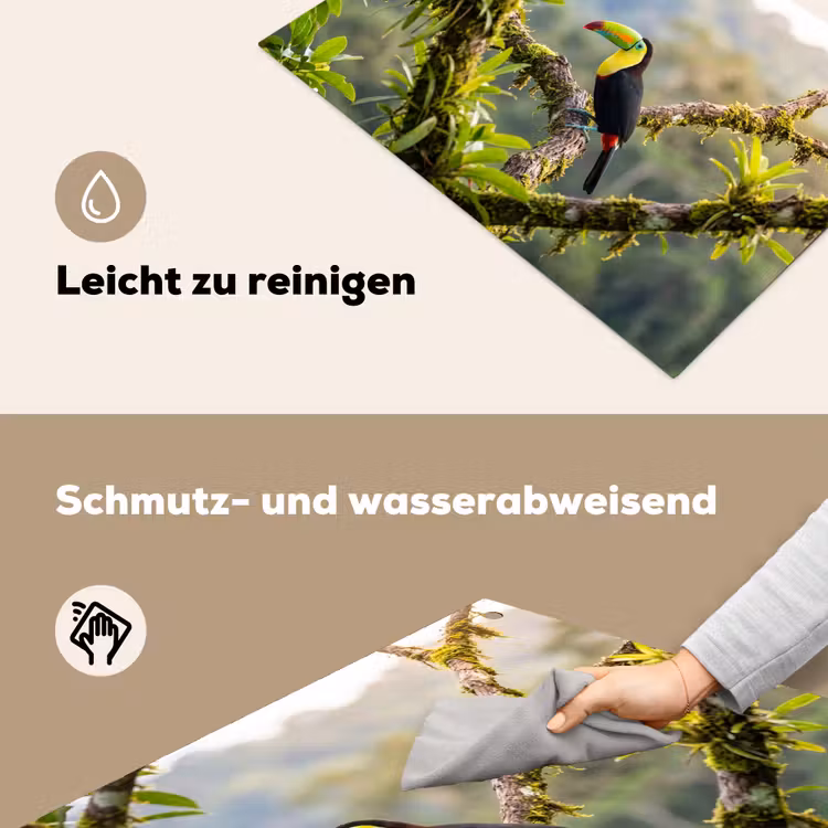 Toekan - Jungle - Natuur - Kleurrijk Inductie beschemer met haakjes klein -ky-schoon-de