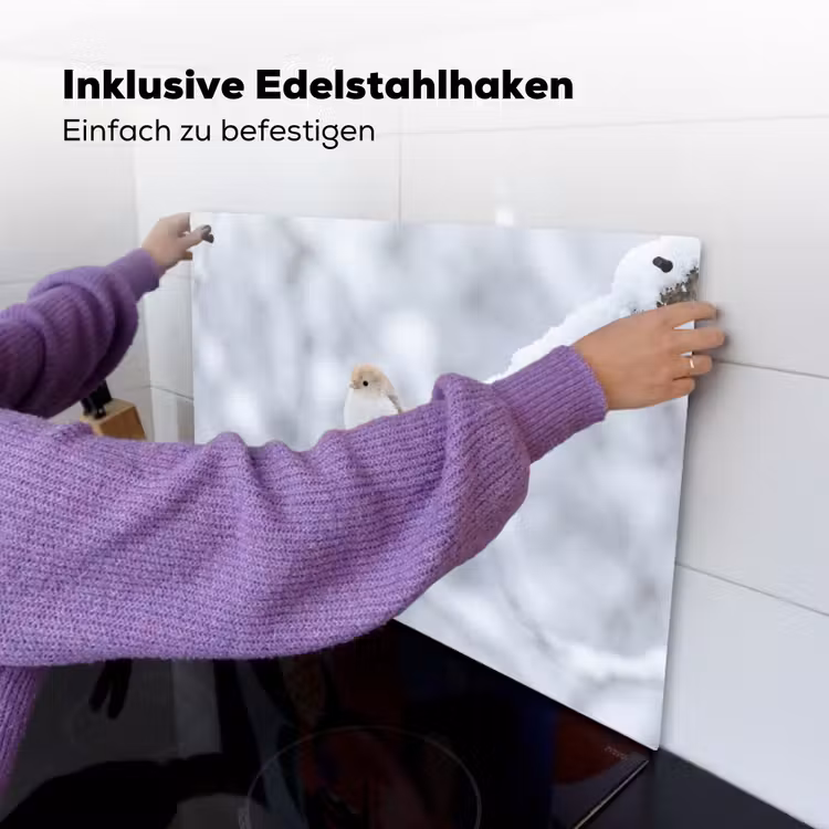 Vogeltje - Sneeuw - Tak - Winter - Zacht Inductie beschemer met haakjes klein -ky-ophangen-de