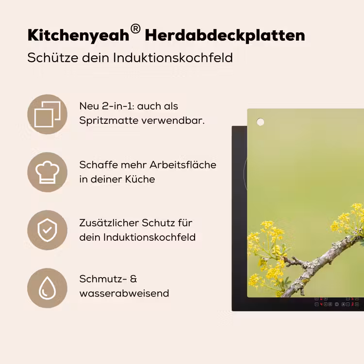 Vogel - Tak - Natuur - Kleurrijk Inductie beschemer met haakjes klein -ky-usp-de