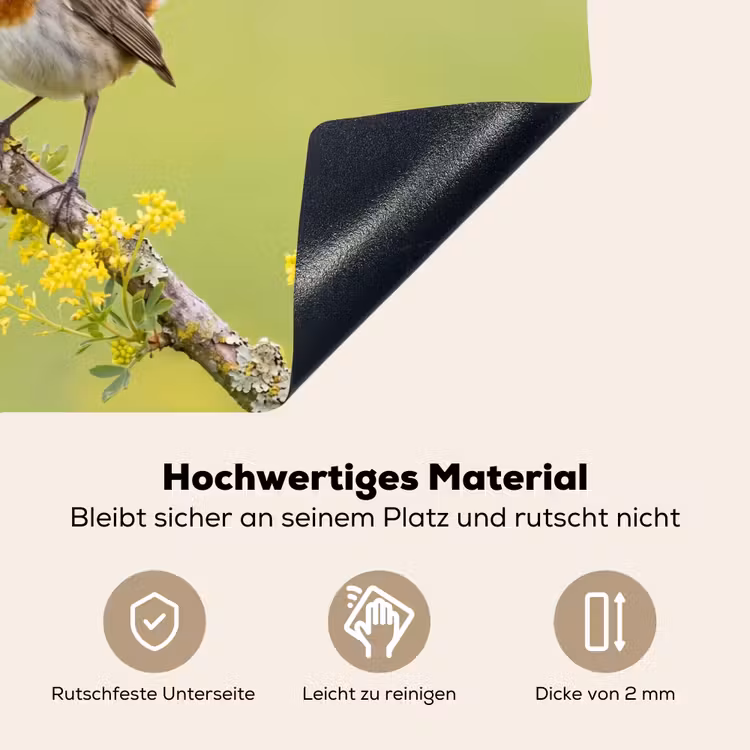 Vogel - Tak - Natuur - Kleurrijk Inductie beschemer met haakjes klein -ky-onderkant-de