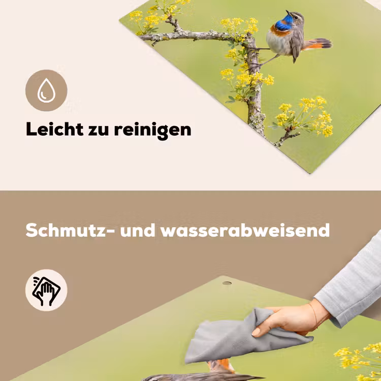 Vogel - Tak - Natuur - Kleurrijk Inductie beschemer met haakjes klein -ky-schoon-de