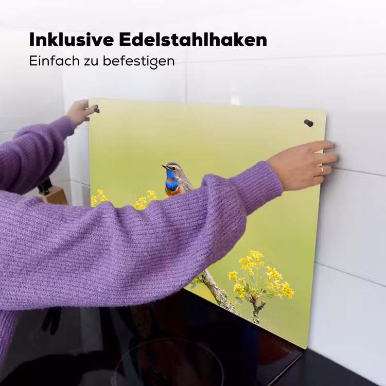 Vogel - Tak - Natuur - Kleurrijk Inductie beschemer met haakjes klein -ky-ophangen-de