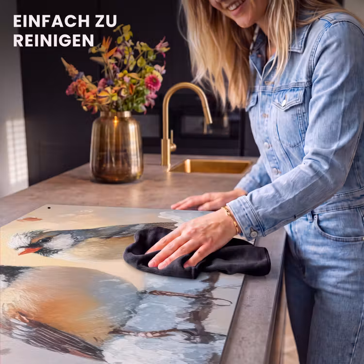 2-in-1 Herdabdeckplatte & Spritzschutz - Vögel - Zweig - Winter - Schnee - Vogels - Tak - Winter - Sneeuw Inductie beschemer met haakjes klein