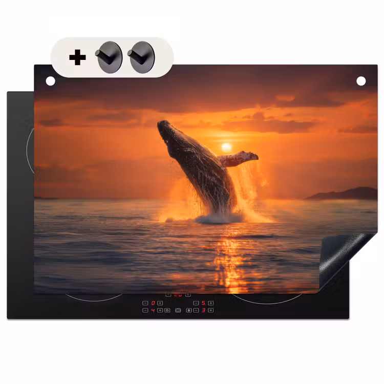 2-in-1 Herdabdeckplatte & Spritzschutz - Wal - Sonne - Meer - Walvis - Zon - Zee Inductie beschemer met haakjes klein