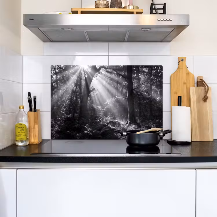 Bos - Lichtstralen - Natuur - Zwart-wit Inductie beschemer met haakjes klein -sfeer2