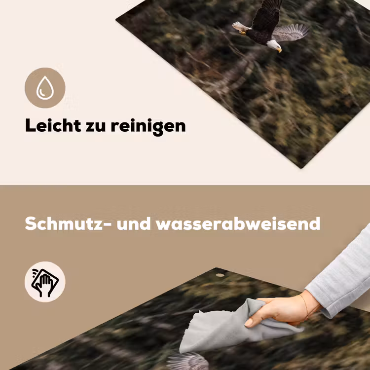 Zeearend - Vliegen - Bos - Natuur Inductie beschemer met haakjes klein -ky-schoon-de
