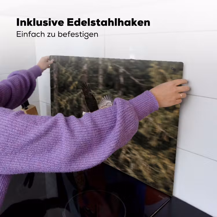 Zeearend - Vliegen - Bos - Natuur Inductie beschemer met haakjes klein -ky-ophangen-de