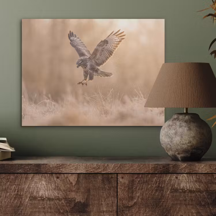 Buizerd - Roofvogel - Natuur - Bruin PET vilt klein -sfeer2