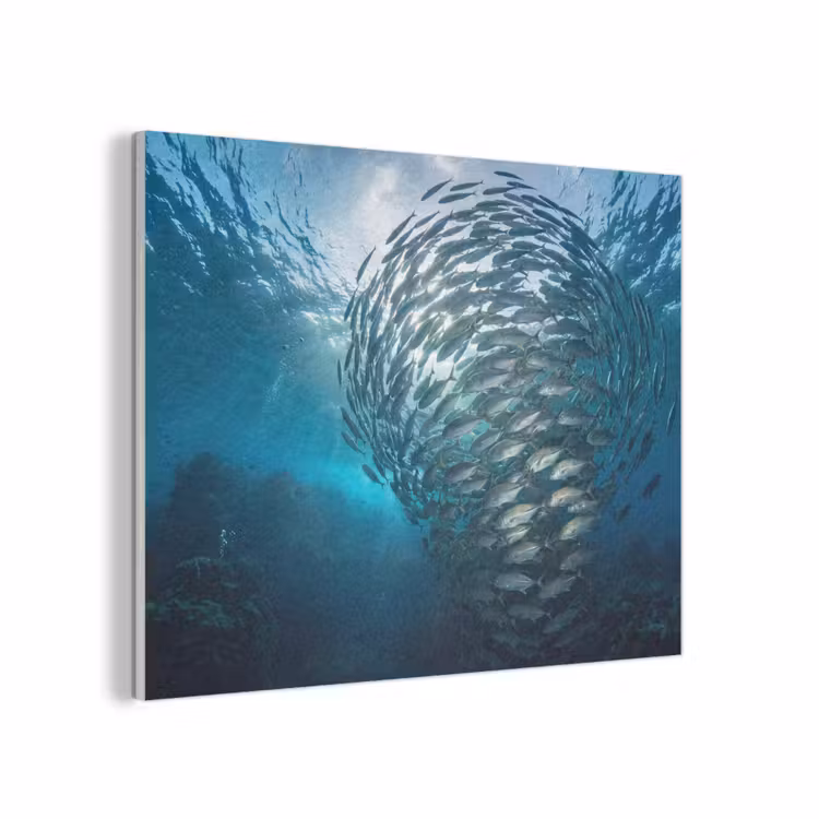 Vis - School - Oceaan - Natuur - Blauw PET vilt klein -3d
