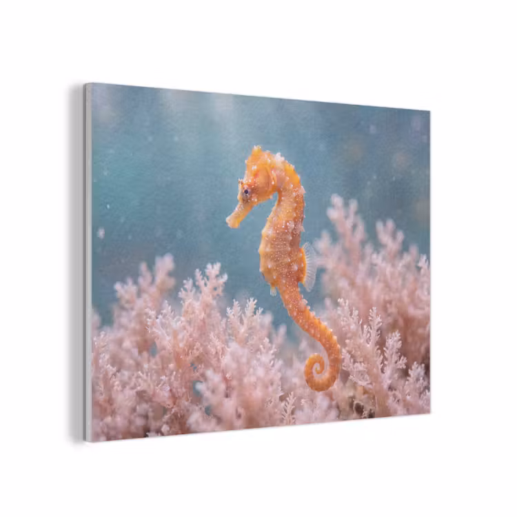 Vis - Koraal - Oceaan - Macro - Oranje PET vilt klein -3d