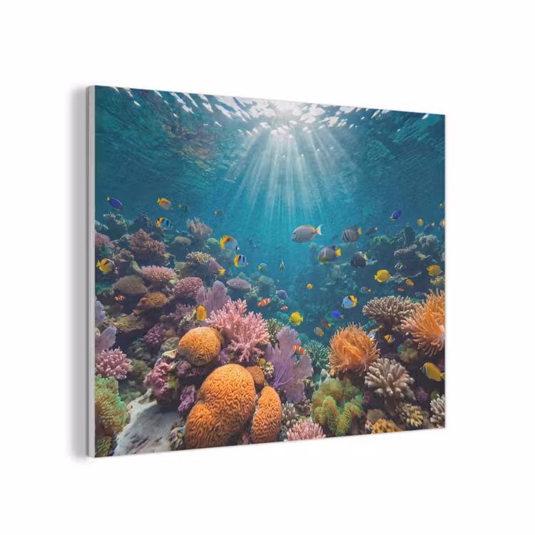 Vis - Koraal - Oceaan - Natuur - Kleurrijk PET vilt klein -3d
