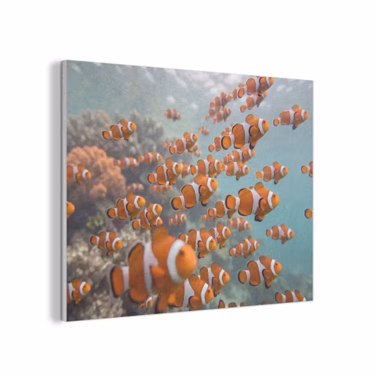 Vis - School - Onderwater - Dieren - Oranje PET vilt klein -3d