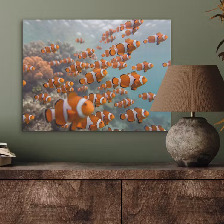 Vis - School - Onderwater - Dieren - Oranje PET vilt klein -sfeer2