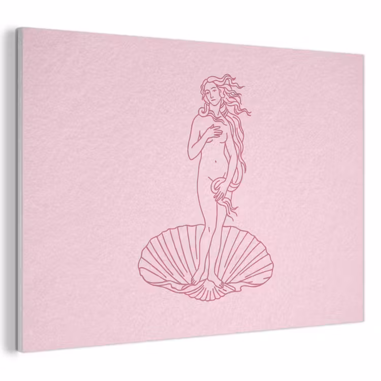 Vrouw - Schelp - Kunst - Lijntekening - Roze PET vilt klein -3d