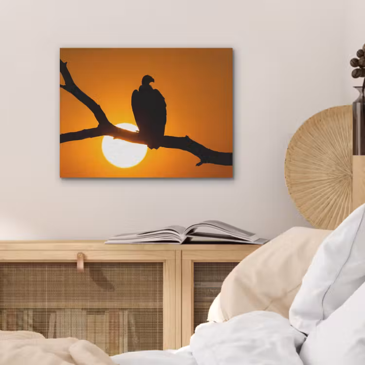Gier - Tak - Zon - Oranje PET vilt klein -sfeer3