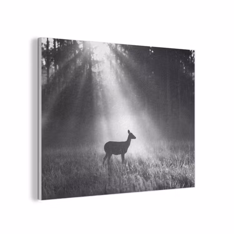 Hert - Bos - Zonnestralen - Zwart-wit - Natuur PET vilt klein -3d