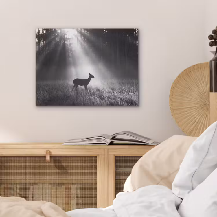 Hert - Bos - Zonnestralen - Zwart-wit - Natuur PET vilt klein -sfeer3