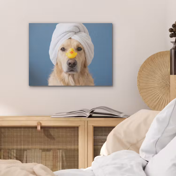 Hond - Badeend - Geel PET vilt klein -sfeer3