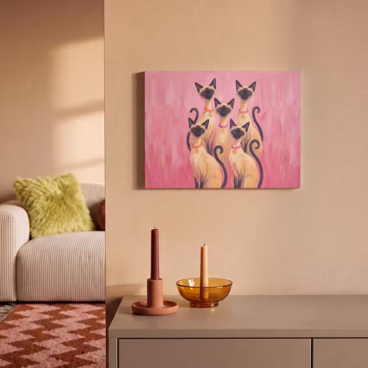 Kat - Groep - Dieren - Modern - Roze PET vilt klein -sfeer1