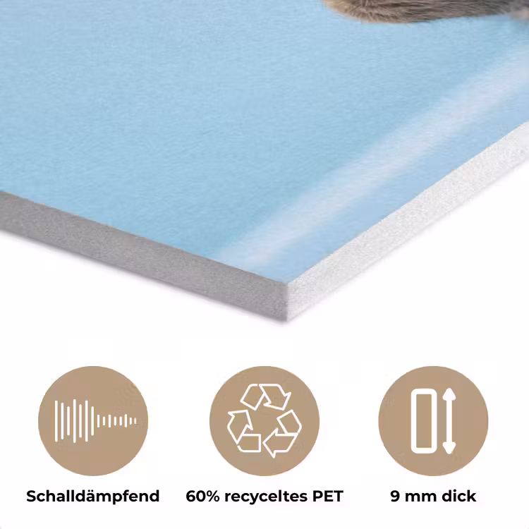 Kat - Handdoek - Washand - Zeep PET vilt klein -closeup_DE