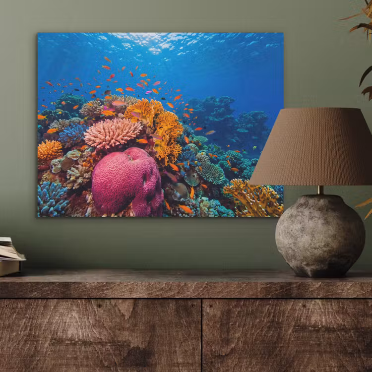 Koraal - Vissen - Oceaan - Natuur - Kleurrijk PET vilt klein -sfeer2