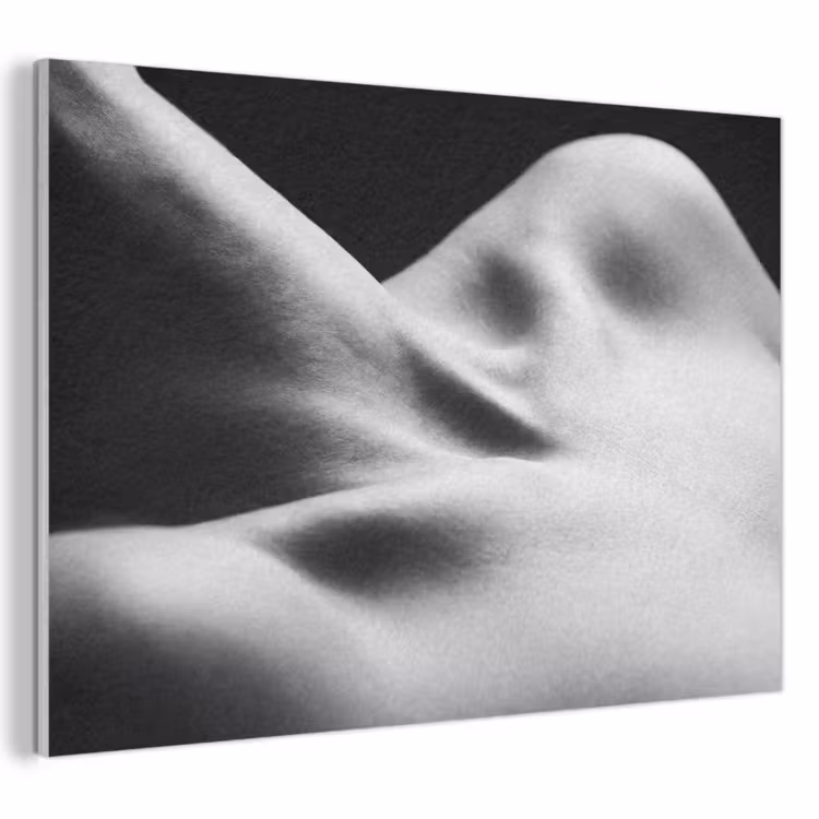 Lichaam - Vormen - Abstract - Zwart - Wit - Sensueel PET vilt klein -3d