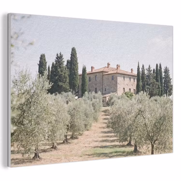 Akustikbild - Landhaus – Olivenbaum – Obstgarten - Landhuis - olijfboom - gaard PET vilt klein