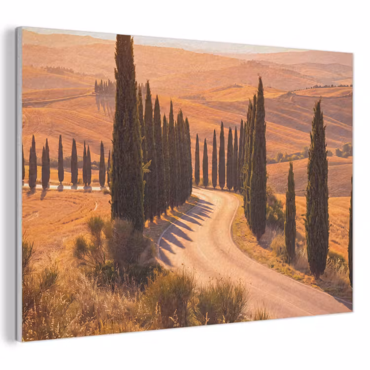 Landschap - Weg - Bomen - Natuur - Goud PET vilt klein -3d