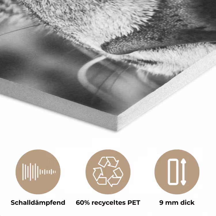 Luipaard - Zwart - Wit - Oog PET vilt klein -closeup_DE