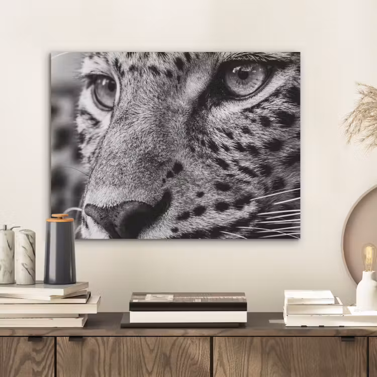 Luipaard - Zwart - Wit - Oog PET vilt klein -sfeer1