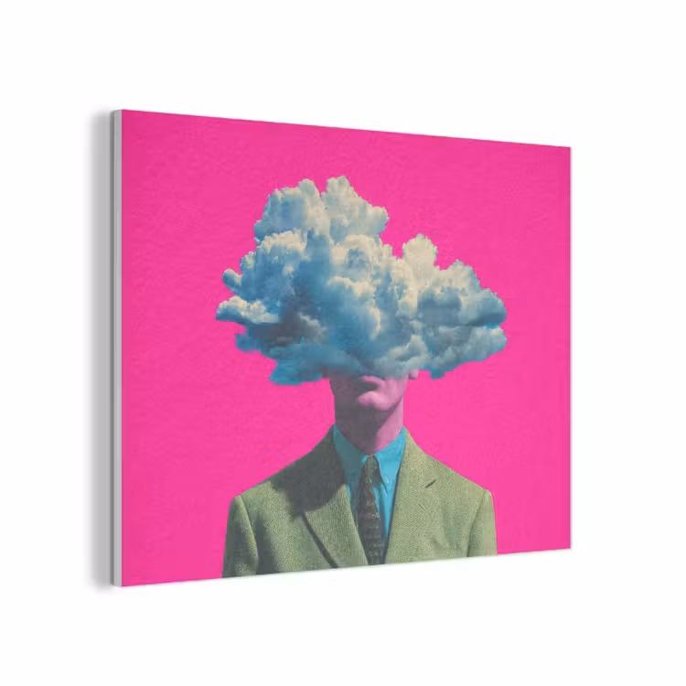 Man - Pak - Wolk - Roze PET vilt klein -3d