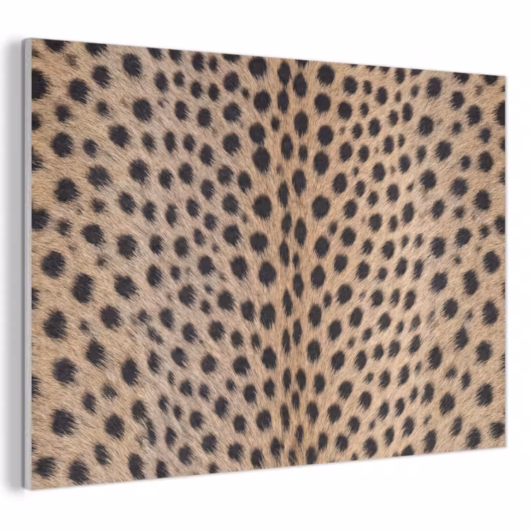Vacht - Jachtluipaard - Zwart - Wit PET vilt klein -3d