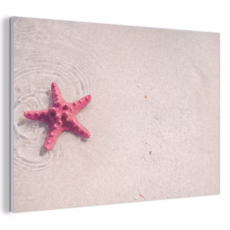 Zeeleven - Zeester - Strand - Roze - Water PET vilt klein -3d