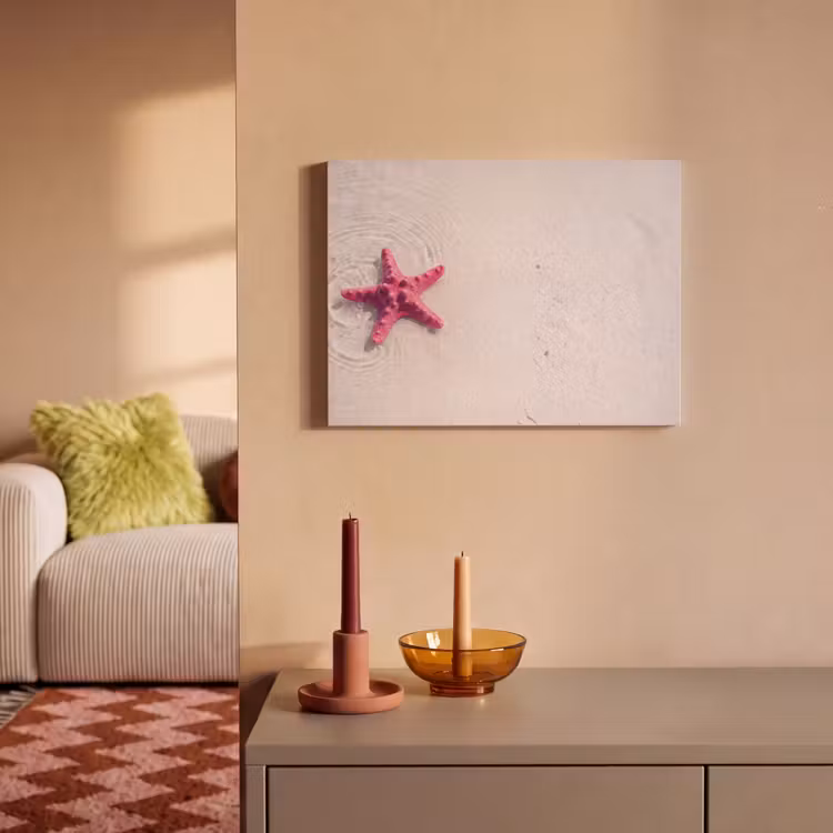 Zeeleven - Zeester - Strand - Roze - Water PET vilt klein -sfeer1