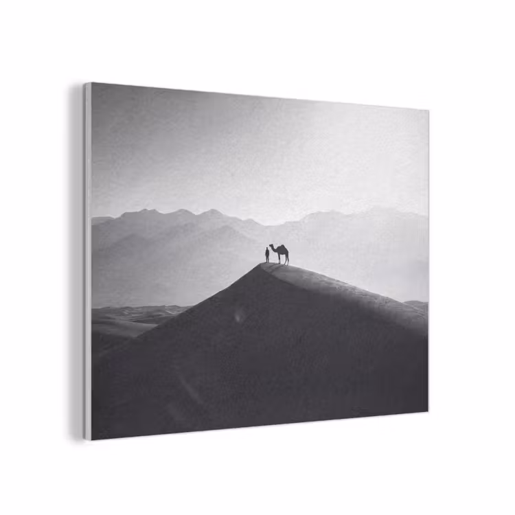 Mens - Kameel - Zandduin - Natuur - Monochroom PET vilt klein -3d