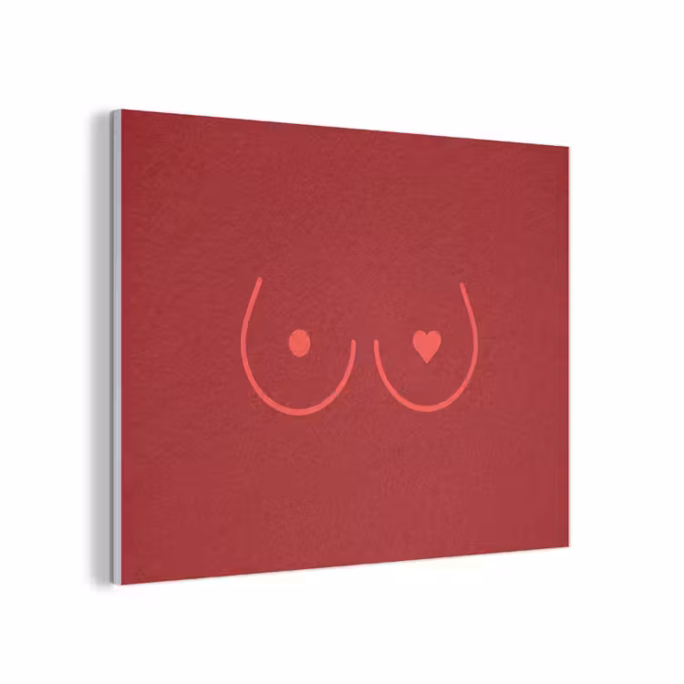 Minimalistisch - Lijnillustratie - Rood PET vilt klein -3d