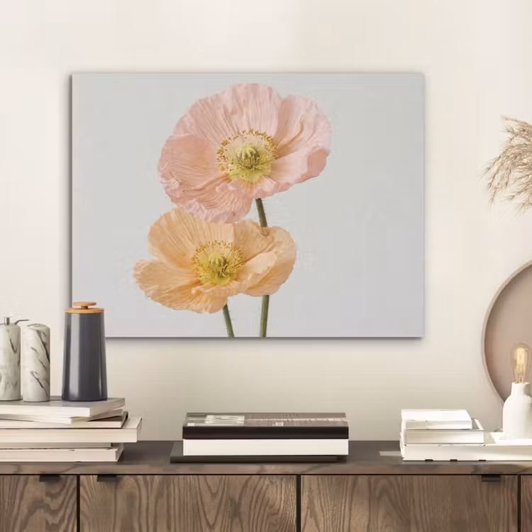 Papavers - Botanisch - Roze PET vilt klein -sfeer1