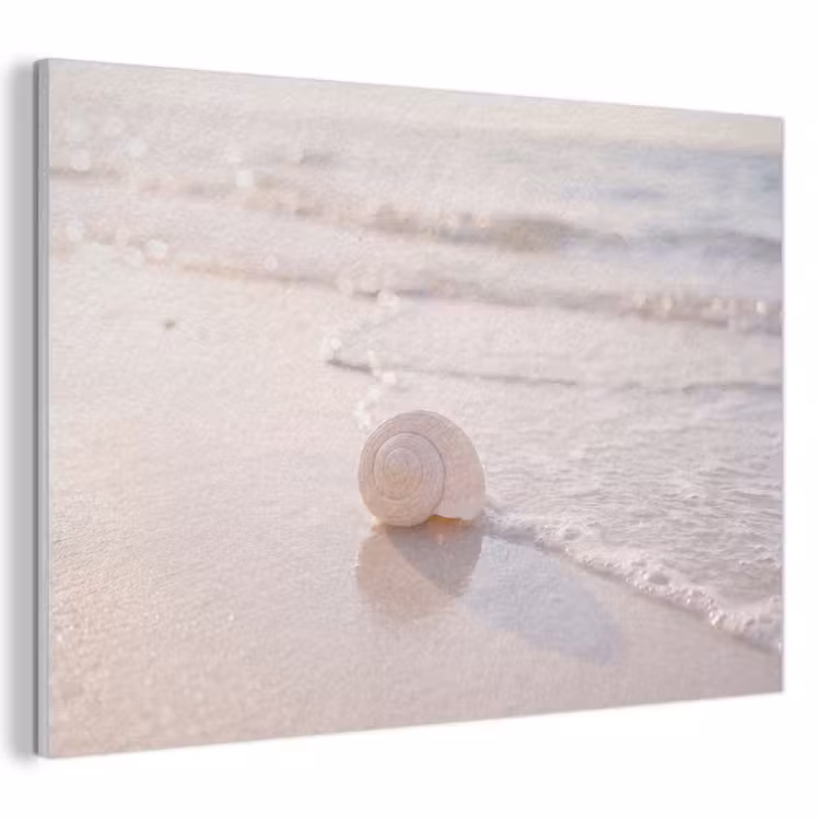 Zeeschelp - Strand - Zee - Natuur - Beige PET vilt klein -3d