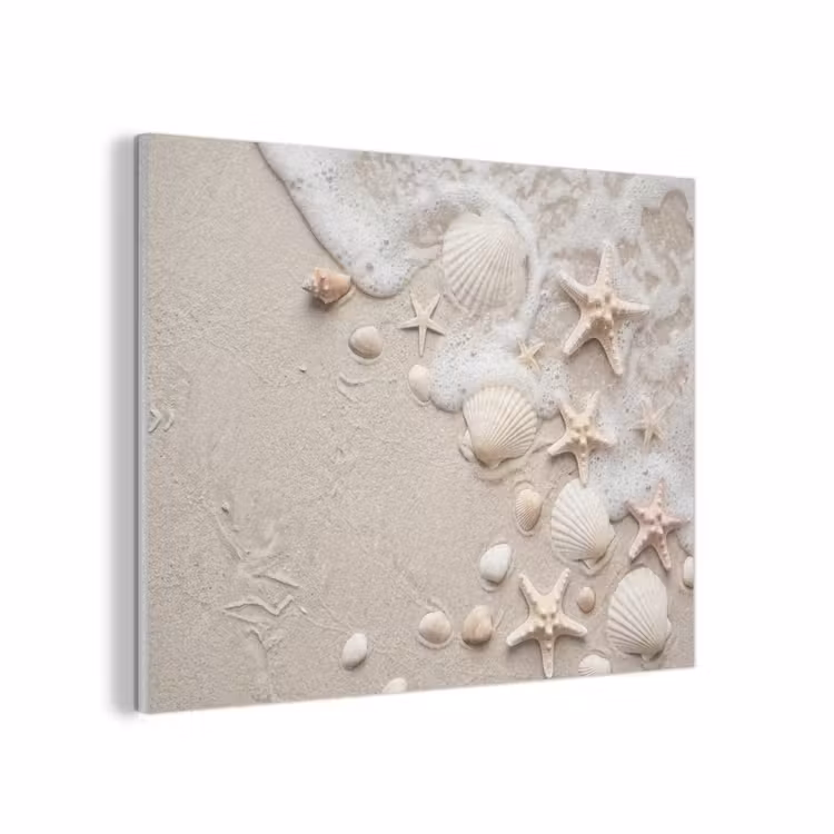 Schelpen - Zeesterren - Strand PET vilt klein -3d