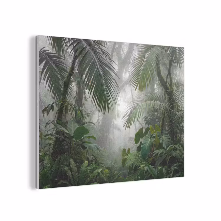 Natuur - Jungle - Mist - Tropisch - Groen PET vilt klein -3d