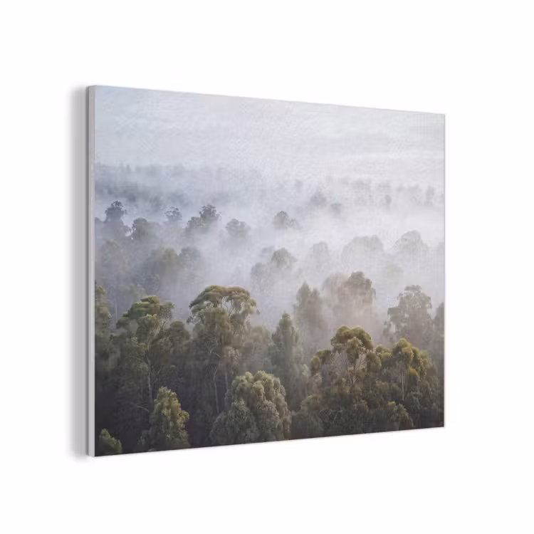 Natuur - Mist - Bos - Ochtend - Goud PET vilt klein -3d