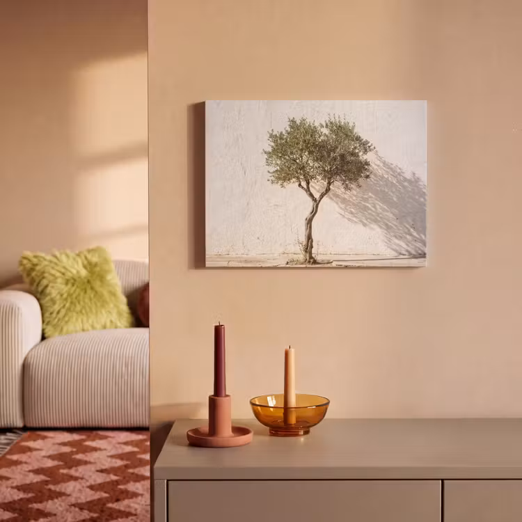 Akustikbild - Olivenbaum – Wand – weiß - Olijfboom - muur - wit PET vilt klein