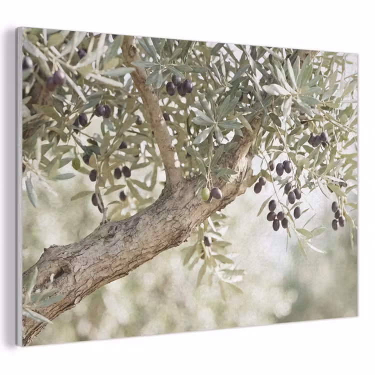 Akustikbild - Olivenbaum – Zweig – grün - Olijfboom - tak - groen PET vilt klein