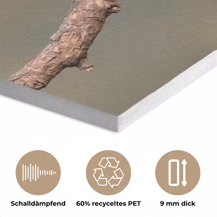 Papagaai - Tak - Natuur - Kleurrijk PET vilt klein -closeup_DE