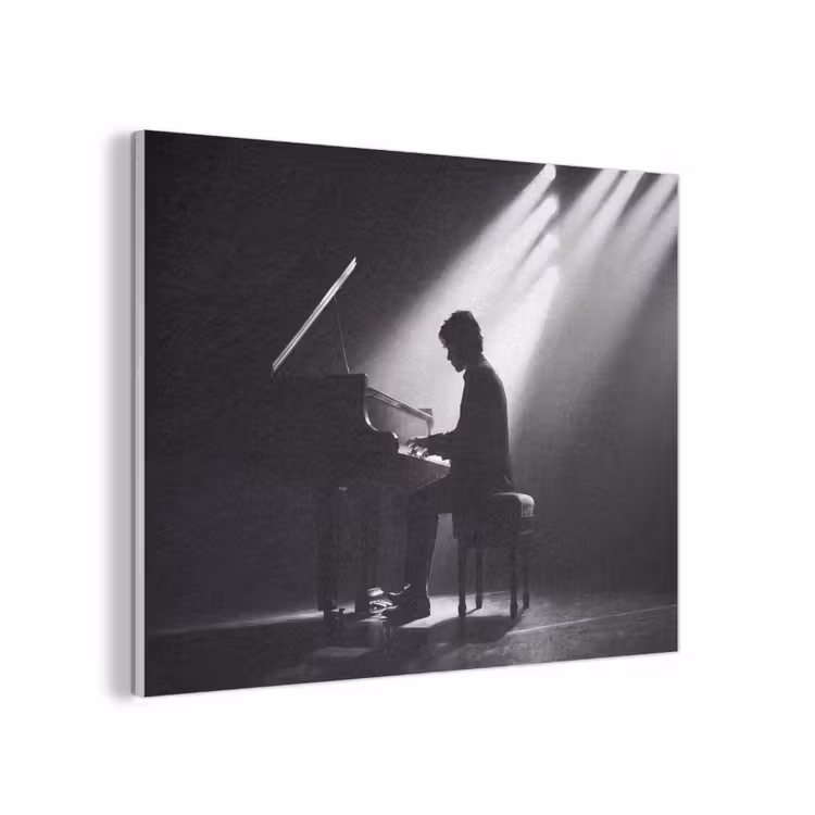 Persoon - Piano - Muziek - Zwart-wit - Podium PET vilt klein -3d