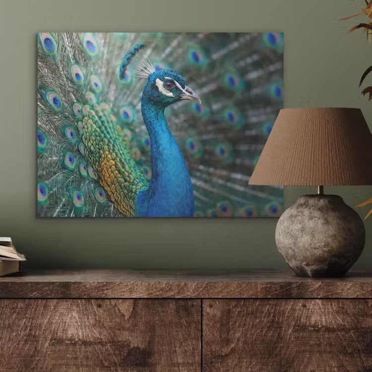 Pauw - Veren - Blauw PET vilt klein -sfeer2