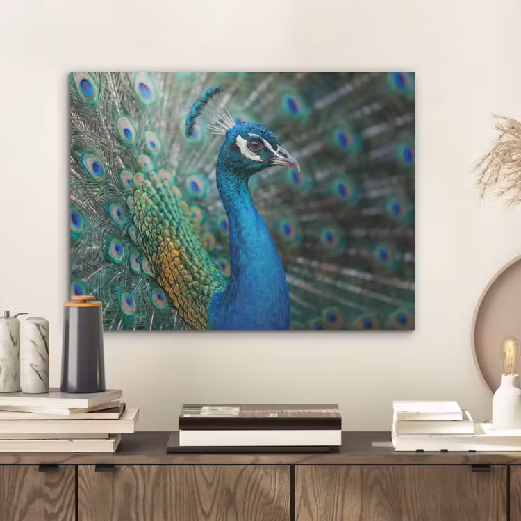 Pauw - Veren - Blauw PET vilt klein -sfeer1
