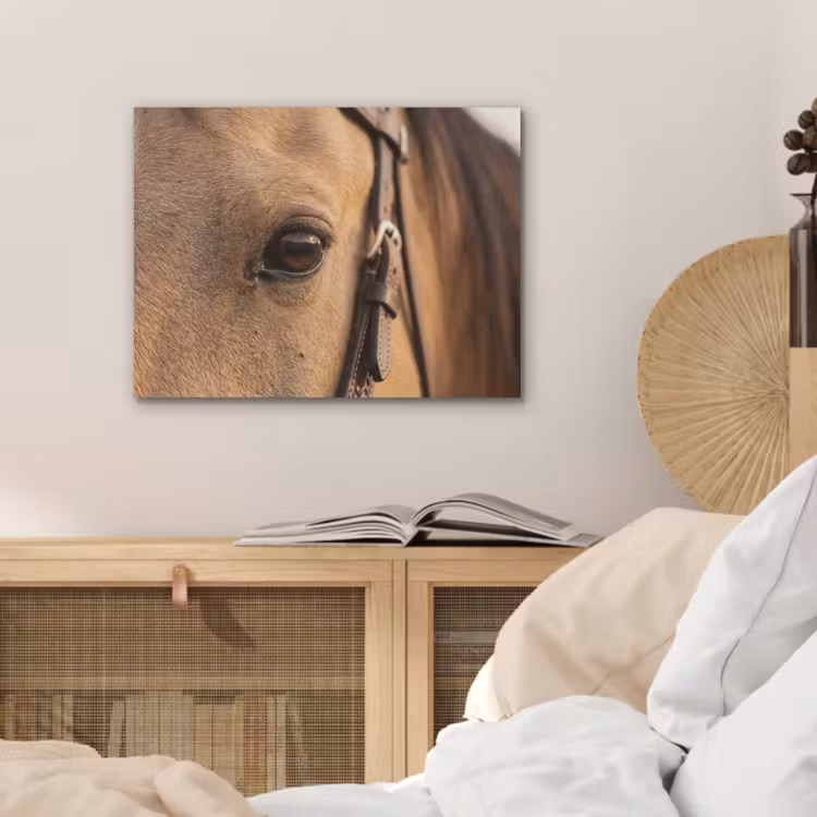 Paard - Oog - Bruin PET vilt klein -sfeer3