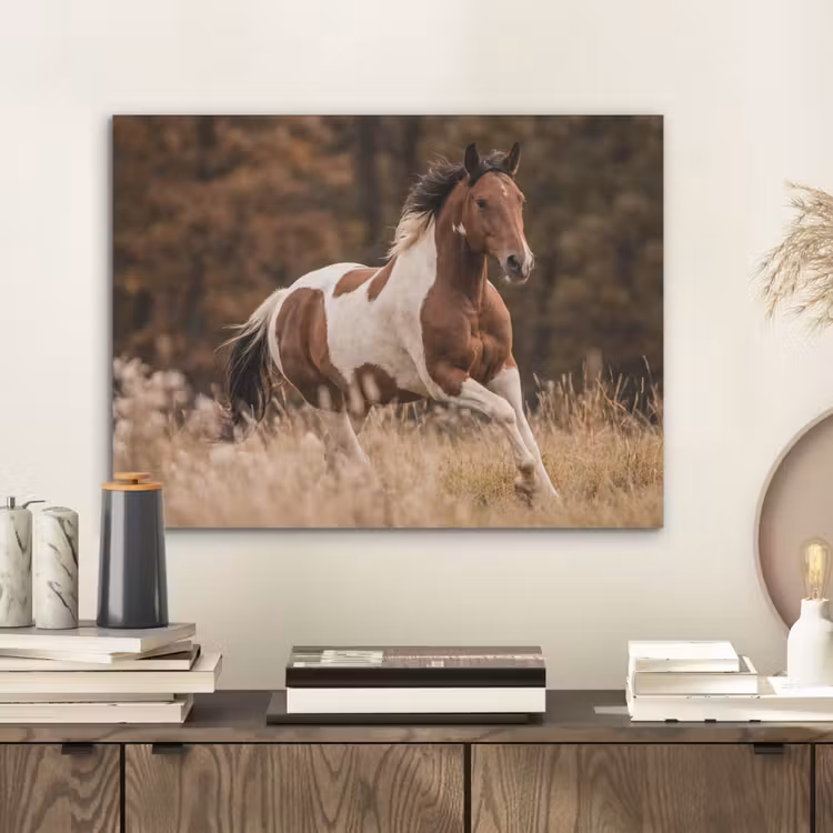 Paard - Bruin - Gras PET vilt klein -sfeer1